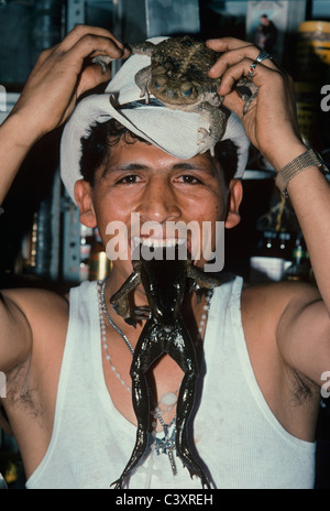 Man with a frog in his mouth and toad on his head, selling a folk healing drink made from blended frogs with milk. Lima, Peru Stock Photo