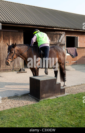 Rider mounting a horse from a mounting block Stock Photo