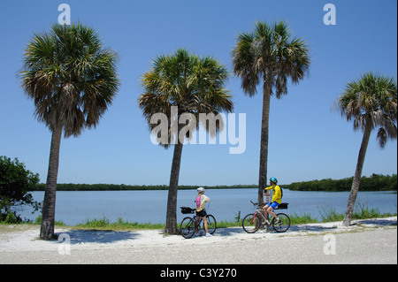 Cyclists in the JN 'Ding' Darling National Wildlife Refuge on Sanibel Island Florida USA Stock Photo