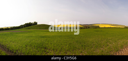 Duggleby Howe Neolithic round barrow, East Riding of Yorkshire, UK Stock Photo