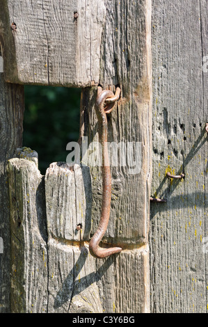 Rusty hook on an old wooden door Stock Photo
