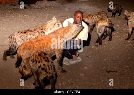 hyena feeding, harar, ethiopia, africa Stock Photo