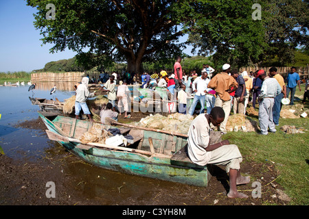 fish market and fishermen, lake awasa, ethiopia, africa Stock Photo