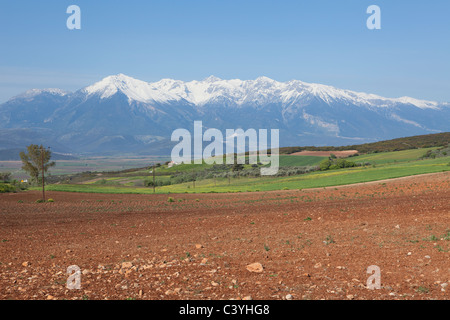 Mount Parnassus (2,457 m  or 8,061 ft) near Delphi, Greece in spring Stock Photo