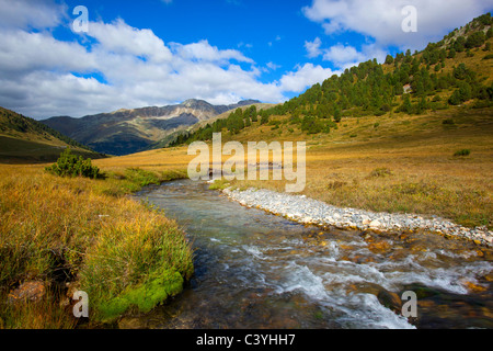 God Tamangur, Switzerland, canton Graubunden, Grisons, Val S-charl ...