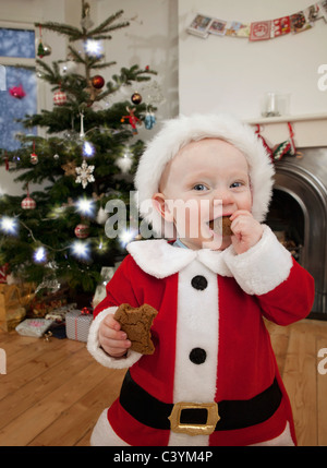 A baby dressed as Santa eating a biscuit Stock Photo