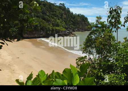 beautiful Pandan Kecil beach in Bako National Park in Sarawak, Borneo, Malaysia Stock Photo