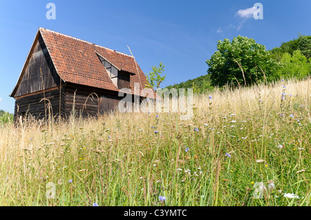 old, architecture, outside, outdoor, farmhouses, buildings, FRG, federal republic, German, Germany, outdoors, outside, European, Stock Photo