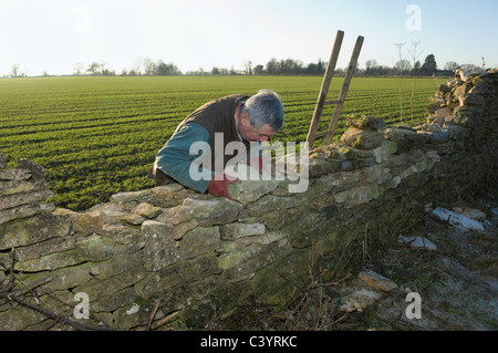 Man building wall Stock Photo