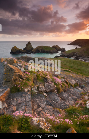 Steps on the South West Coast Path above Kynance Cove, Lizard, Cornwall, England. Spring (May) 2011. Stock Photo