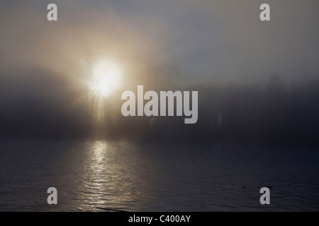 Early morning sun breaks through fog on the Fraser River. Port Coquitlam, BC, Canada. Stock Photo