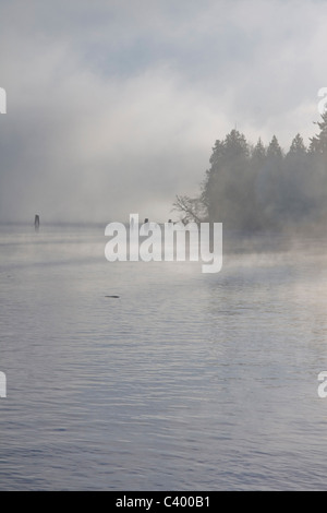 Early morning fog on the Fraser River. Port Coquitlam, BC, Canada. Stock Photo