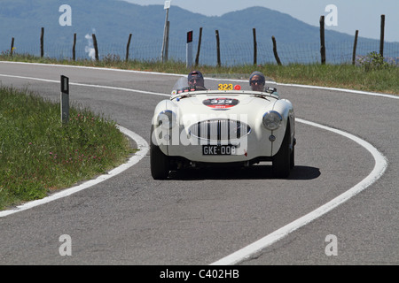 Mille Miglia 2011 Austin Healey 100S Stock Photo