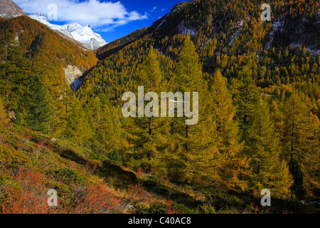 Adlerhorn, Alps, Alpine panorama, view, tree, mountain, mountains, mountain panorama, mountain point, trees, colors, cliff, rock Stock Photo