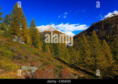 Adlerhorn, Alps, Alpine panorama, view, tree, mountain, mountains, mountain panorama, mountain point, trees, colors, cliff, rock Stock Photo