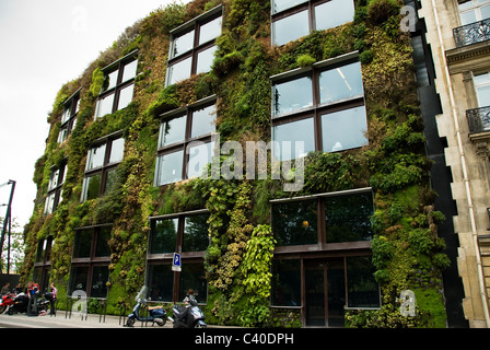 Musee du quai Branly, Paris, France. Vertcial garden by Patrick Blanc Stock Photo