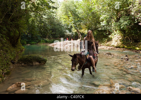 Horseback Tour to the Waterfall Cascada El Limon, Las Terrenas, Samana Peninsula, Dominican Republic Stock Photo