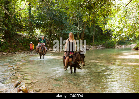 Horseback Tour to the Waterfall Cascada El Limon, Las Terrenas, Samana Peninsula, Dominican Republic Stock Photo