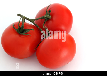 Close up of 3 Red tomatoes on a vine against a white background Stock Photo