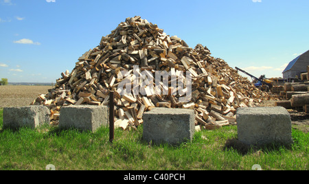 Large round tree stumps with blue sky in background Stock Photo