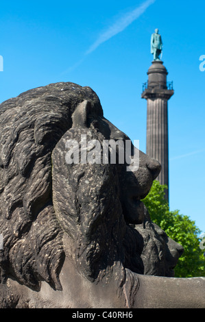 St George's Hall Lion with Wellington Monument in background. St Georges Plateau, Liverpool, UK Stock Photo