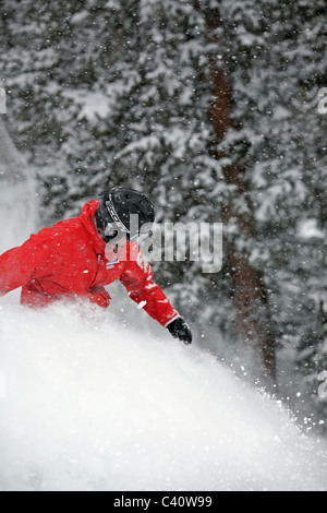 Snowboarder enjoying deep fresh powder at Brighton Ski Resort in Salt Lake City, Utah Stock Photo