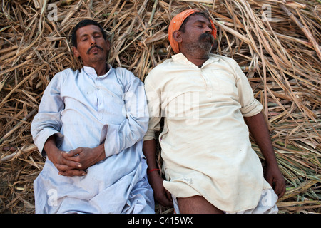 Two men sleep on a hay stack at Sonepur Mela in Sonepur near Patna and Hajipur in Bihar state, India. Stock Photo