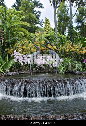 Two Bronze Crane Sculptures in a Fountain at the National Orchid Garden Singapore Republic of Singapore Asia Stock Photo