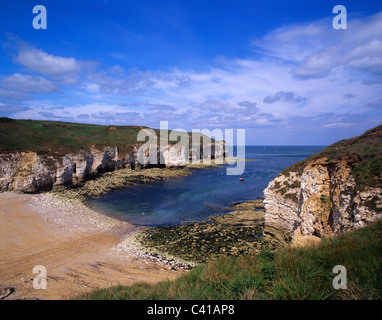 looking out on Selwicks Bay Flamborough Head Yorkshire UK Stock Photo