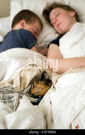 Cat sleeping on family bed with mother and son,Family It takes ingenuity to enjoy the British lie-in,repose, rest, ease, relax Stock Photo