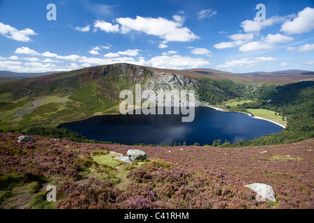 View over Lough Tay, Wicklow Mountains, County Wicklow, Ireland. Stock Photo