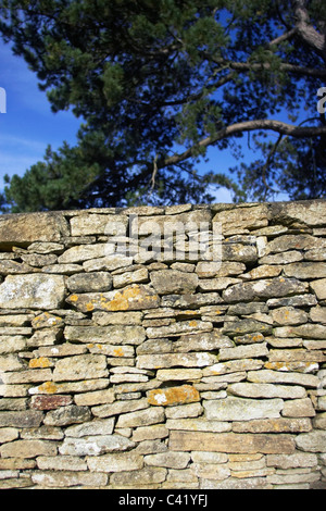 Drywall built with Mendip Somerset stones Somerset England UK. Stock Photo