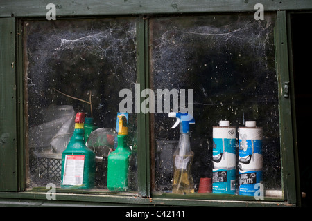 Cobwebs and garden products in a shed window. Stock Photo