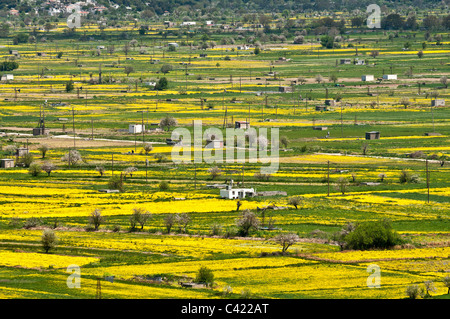 Spring time near Psychro on the Lasithi Plateau, eastern Crete, Greece Stock Photo