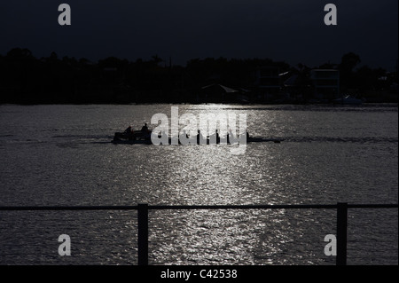 Rowers on the Brisbane River Australia in silhouette Stock Photo
