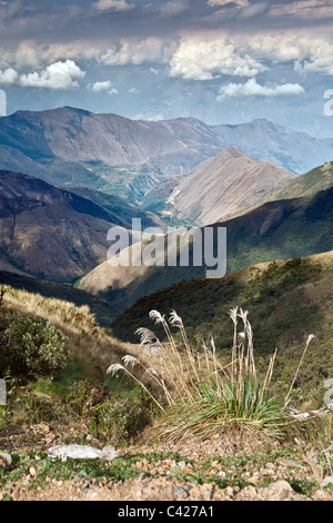 Peru, Leymebamba, Road to Cajamarca. View from Calla Calla Pass. (3600 m). Stock Photo