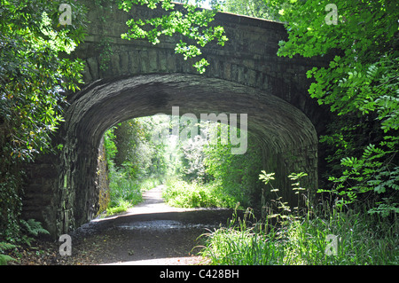 Tavistock, Devon, England: disused railway track through the town which is now a leisure walk. Stock Photo