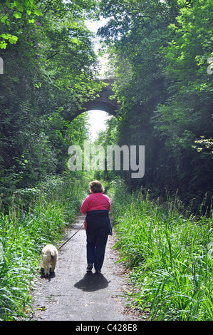 Tavistock, Devon, England: disused railway track through the town which is now a leisure walk. Stock Photo