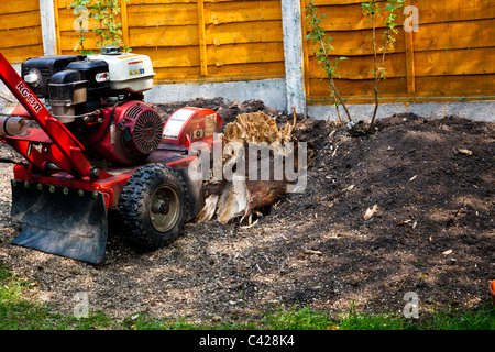 leylandii stump grinder