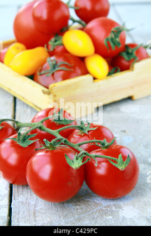several varieties of tomatoes in a box on the table Stock Photo