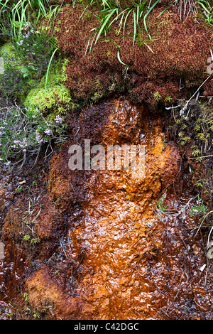 Iron staining in soil from Llorts iron mine Andorra Stock Photo