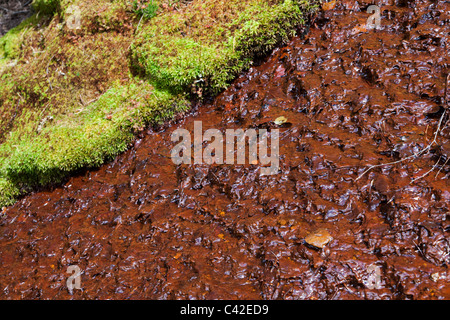 Iron staining in soil from Llorts iron mine Andorra Stock Photo