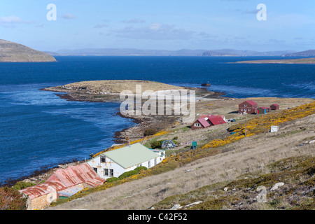 The settlement at New Island, West Falklands Stock Photo