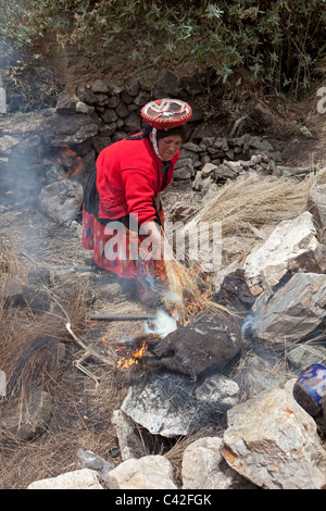 Peru, Patakancha, Patacancha, village near Ollantaytambo. Indian Woman in traditional dress slaughtering pig. Stock Photo