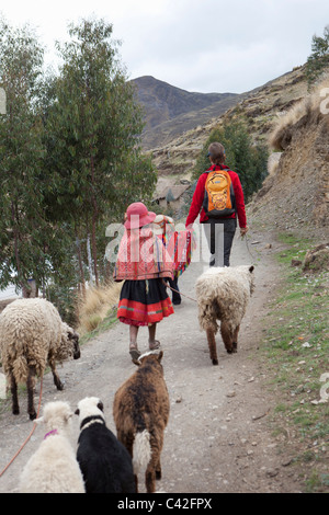 Village near Ollantaytambo. Indian girl and boy in traditional dress together with woman, tourist, herding sheep. Stock Photo