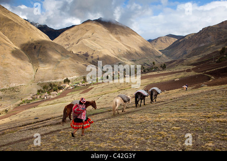 Peru, Patakancha, Patacancha, village near Ollantaytambo. Indian woman in traditional dress transporting goods with horse. Stock Photo