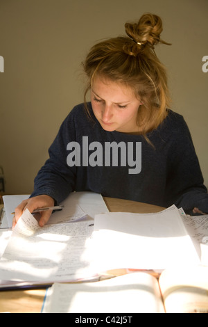 Model Released picture of seventeen year old teenage girl studying revising for exams Stock Photo