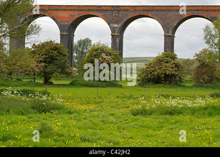 Harringworth Viaduct in spring. Brick railway bridge across a river valley is a landmark of the Victorian industrial  heritage Stock Photo