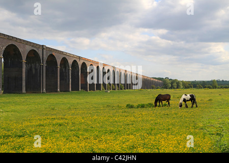 Harringworth Viaduct crosses the valley of the River Welland between Harringworth and Seaton. Stock Photo