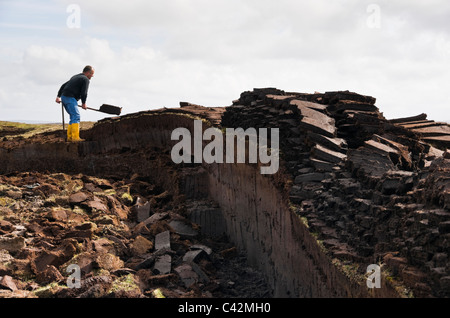 Man cutting peat blocks for traditional free fuel on the Shetland Isles, Scotland, UK, Britain Stock Photo